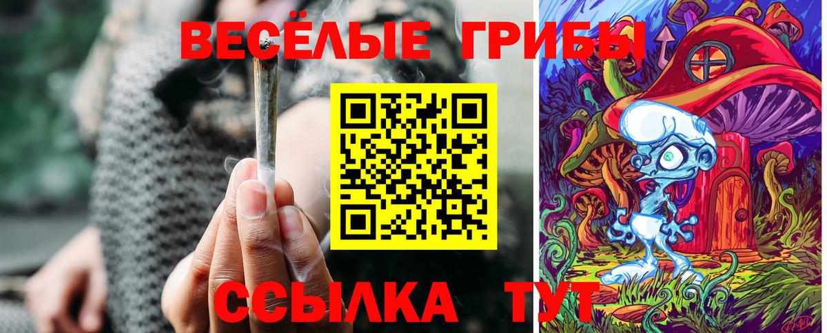 Псилоцибиновые грибы Psilocybine cubensis Елабуга