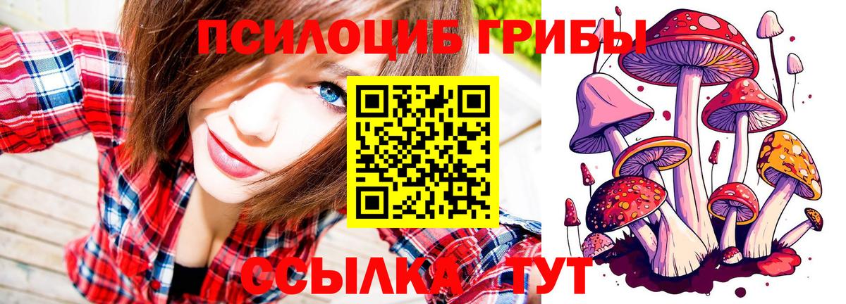 Галлюциногенные грибы мухоморы  Вход с VPN  где купить наркоту  Елабуга  Псилоцибиновые грибы Magic Shrooms 