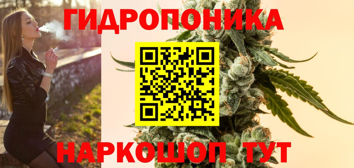 Бошки Шишки семена  Канабис план  Елабуга  Вход с VPN 